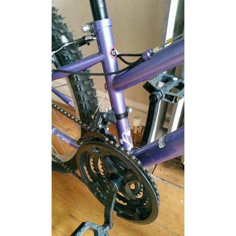 Apollo XC24 Girls Mountain Bike