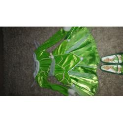 Disney Tinkerbelle dress