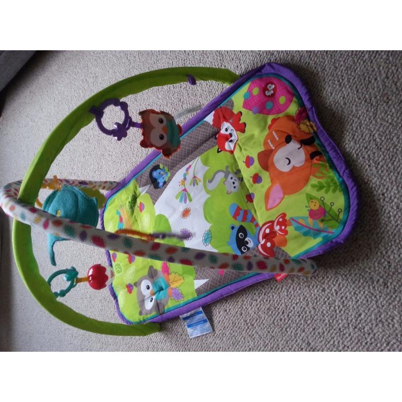 Fisher Price Baby Gym