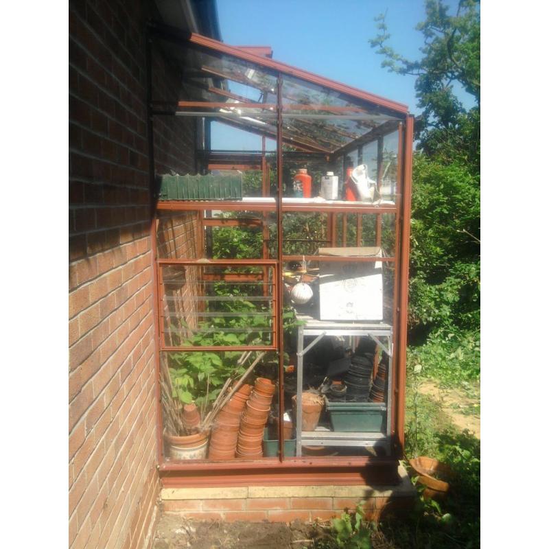 greenhouse 8` X 4` kensigton lean to. top of the range. with toughened glass.