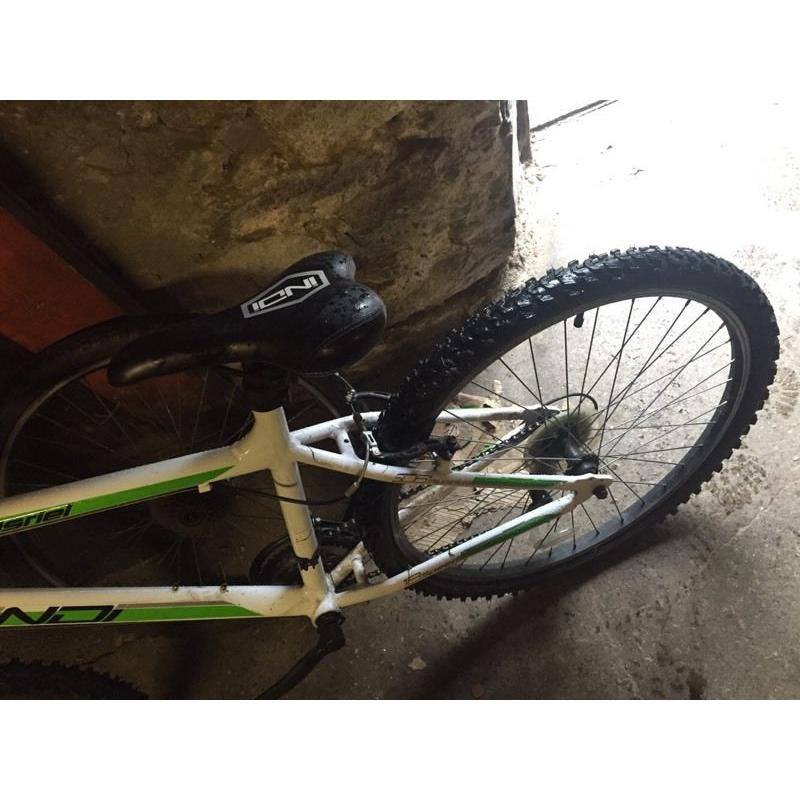 Indi mountain bike