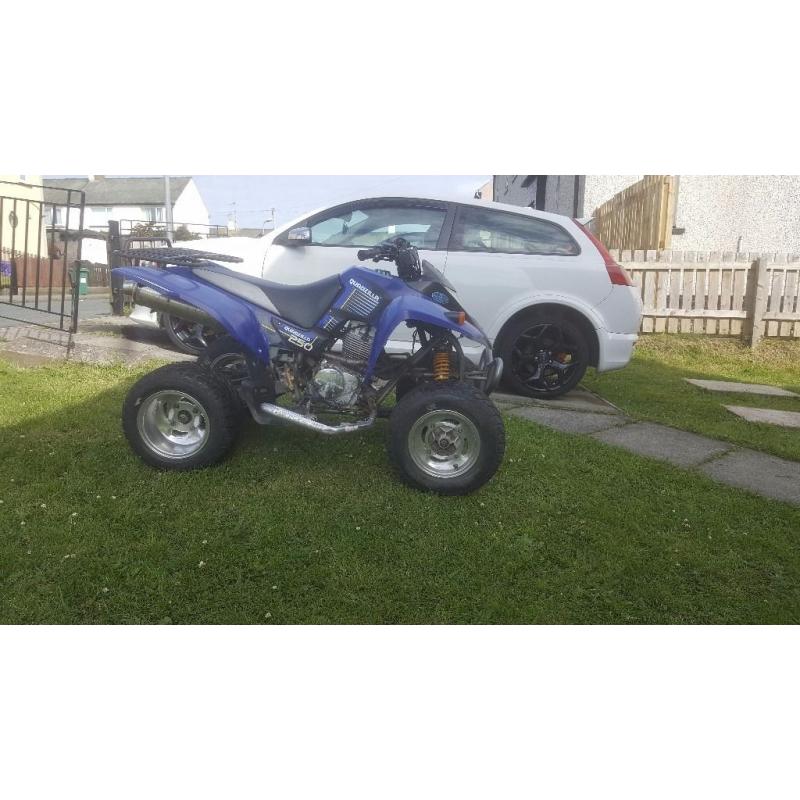 Quadzilla stinger 250e