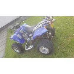 Quadzilla stinger 250e