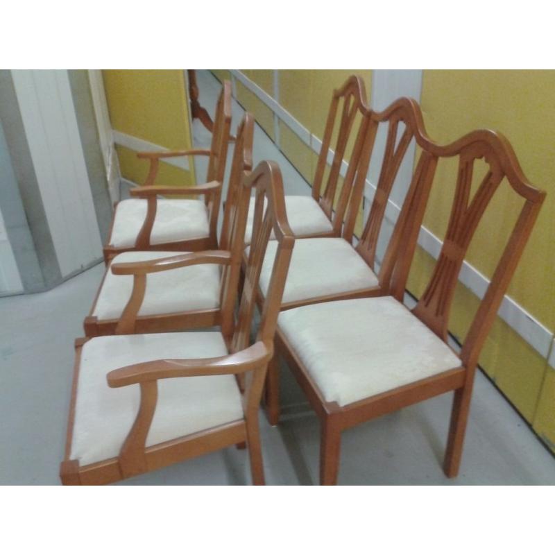 6 dining chairs,Yew wood,carved back,clean cushion,stable,2 carvers