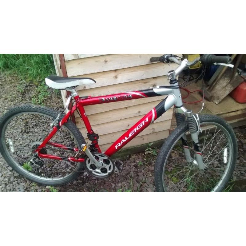 Gents mountain bike