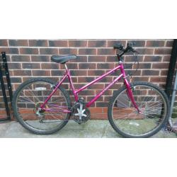 Ladies dynamix mountain bike