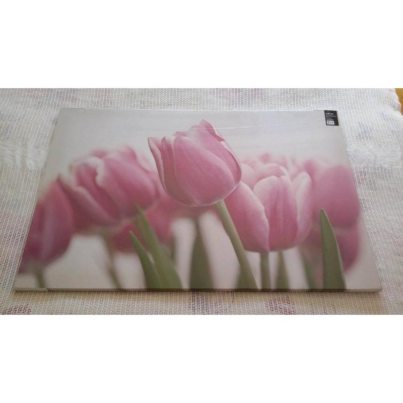 New (in packaging) Pink Tulip Canvas Wall Art