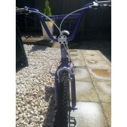 Child or adult GT BMX bike.