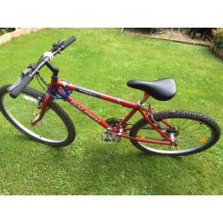 Raleigh men's mountain bike