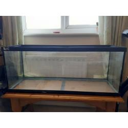 100 litre fish/amphibian/reptile aquarium tank